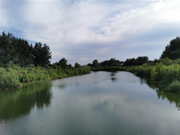 關(guān)于印發(fā)江蘇省固定資產(chǎn)投資項(xiàng)目節(jié)能審查實(shí)施辦法的通知
