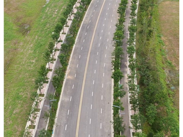 江心洲南環(huán)路（31號路南延）工程